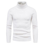 Herren Rollkragenpulli mit strukturiertem Zopfmuster R&B