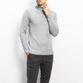Herren nan Feinstrick-Rollkragenpullover mit Zopfmuster und schmaler Silhouette R&B
