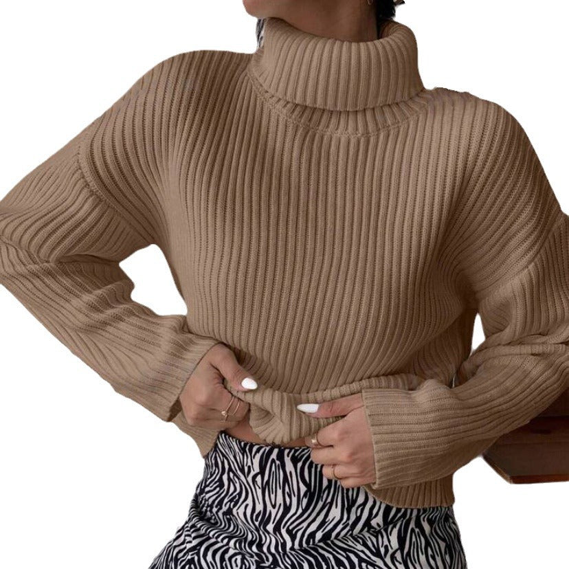 Damen Hochwertiger Rollkragenpullover mit strukturiertem Rippstrick R&B