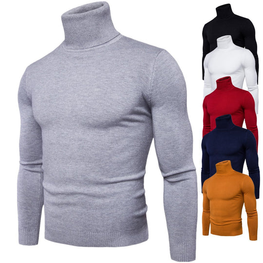 Herren Rollkragenpullover aus weichem Strick R&B