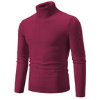 Herren eleganter Rollkragenpullover mit modernem Zopfmuster R&B