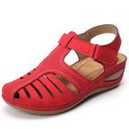 Damen Clogs mit atmungsaktivem Lochdesign und komfortabler Sohle R&B