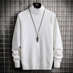 Herren Rollkragenpullover aus weicher Strickqualität R&B