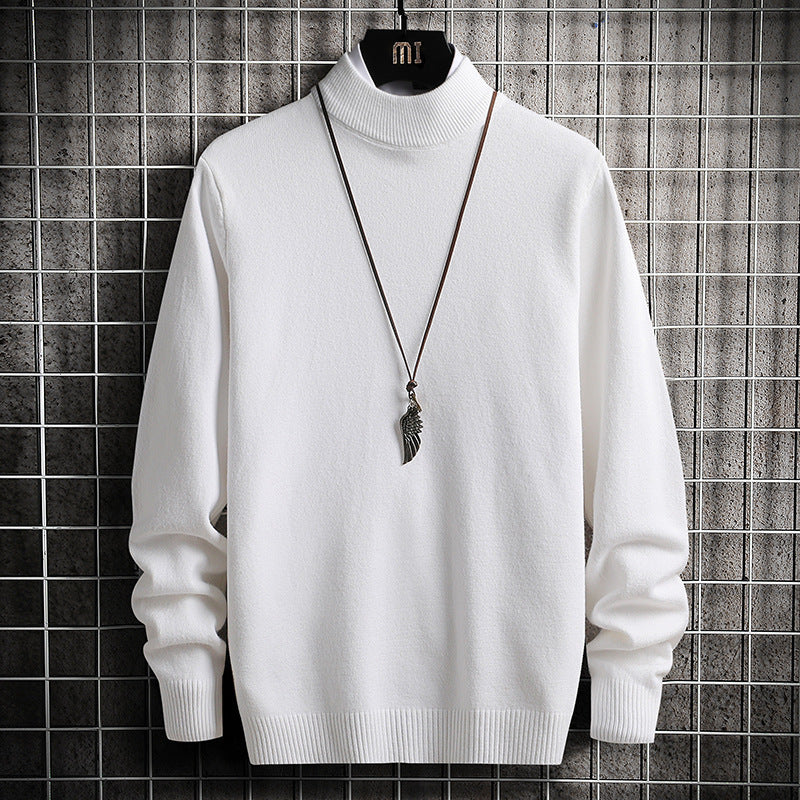 Herren Rollkragenpullover aus weicher Strickqualität R&B