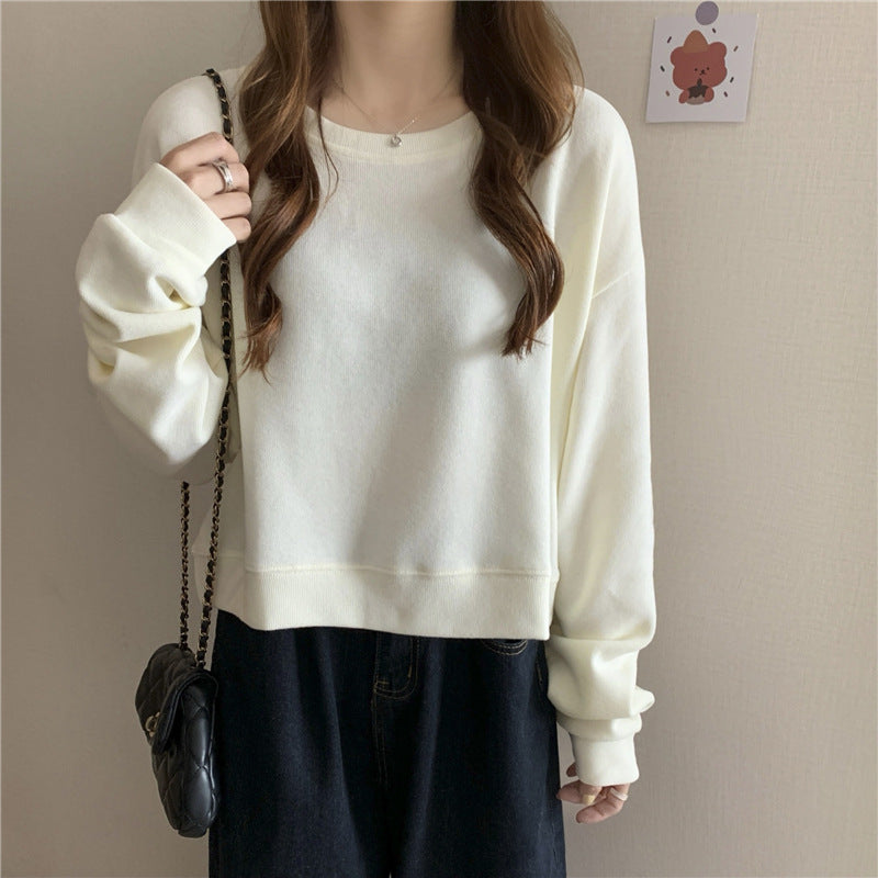 Damen lässiger cropped Pullover aus weichem Baumwollmix mit modischem Rundhalsausschnitt