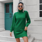 Damen Strickkleid mit hohem Kragen und elastischem Gürtel R&B