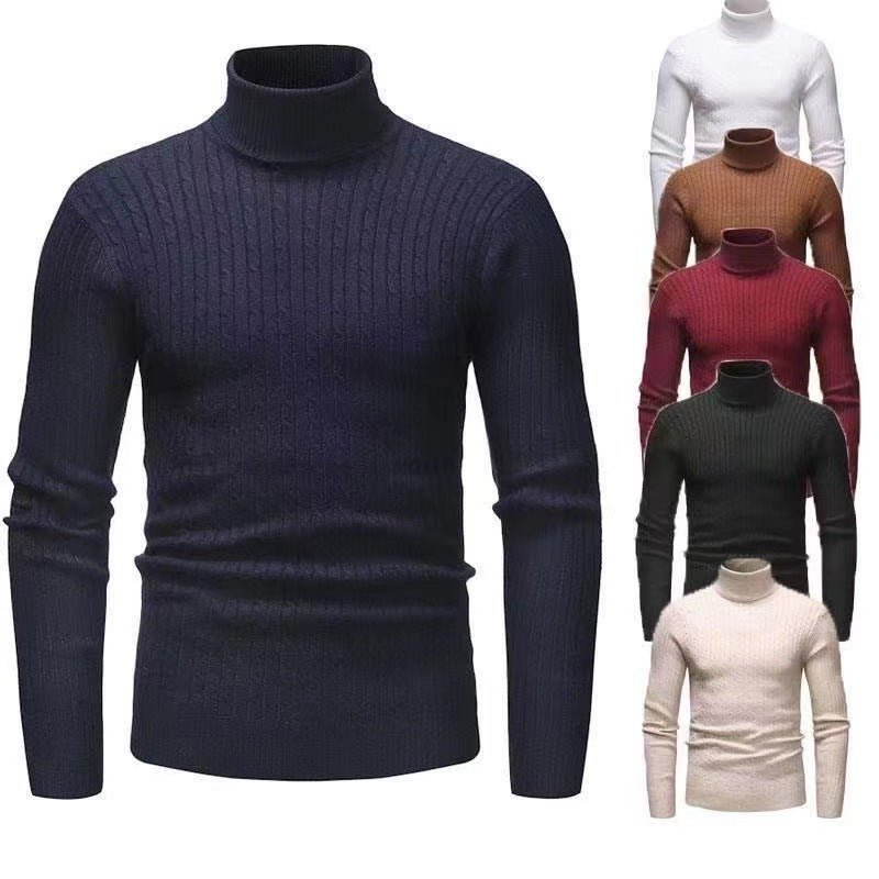 Herren Rollkragenpulli mit strukturiertem Zopfmuster R&B