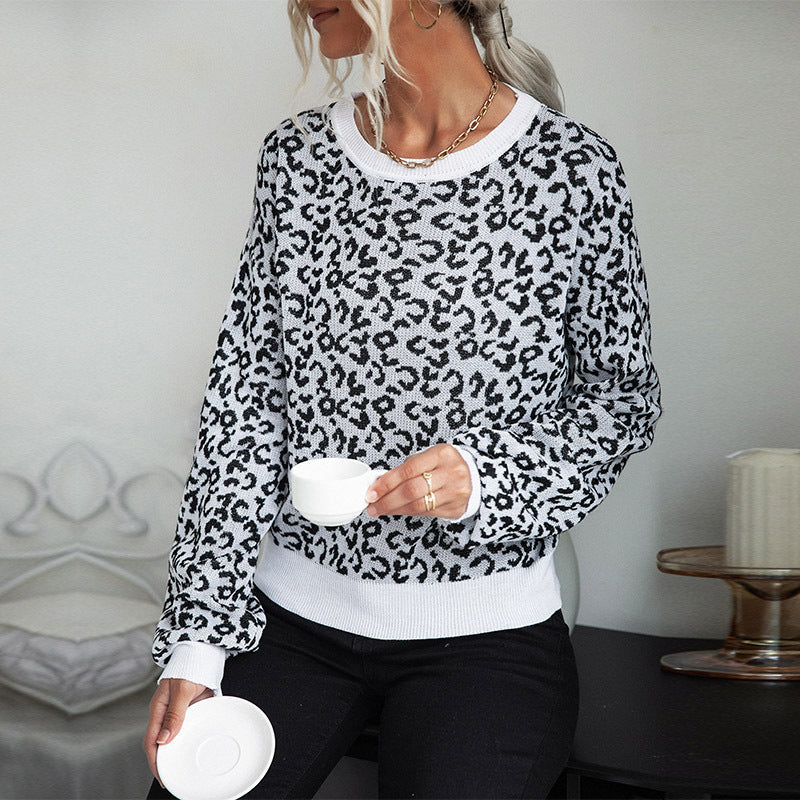 Damen Gemusterter Strickpullover mit Leopardenmuster R&B