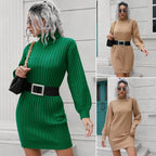 Damen Strickkleid mit hohem Kragen und elastischem Gürtel R&B