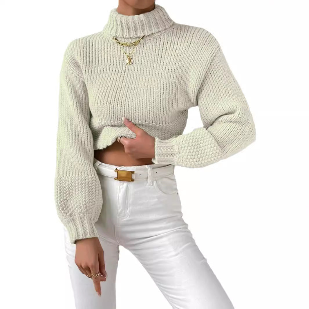 Damen Grobstrick Pullover mit hohem Kragen R&B
