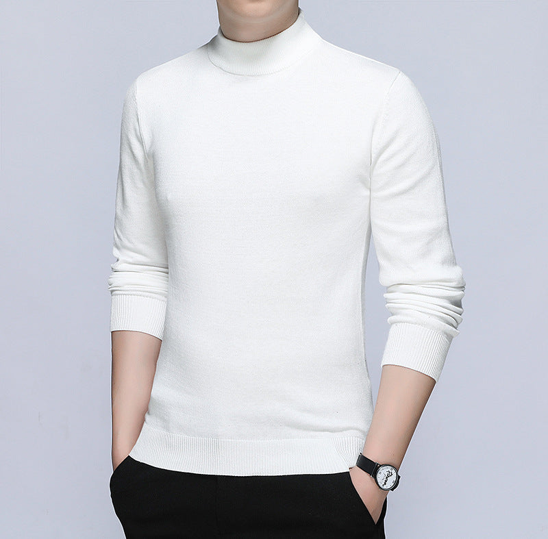 Herren stilvoller Rollkragenpullover aus weichem Baumwollmix R&B