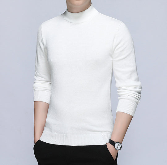 Herren stilvoller Rollkragenpullover aus weichem Baumwollmix R&B