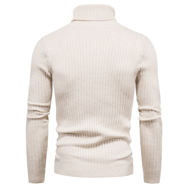 Herren Rollkragenpullover mit Zopfmuster R&B