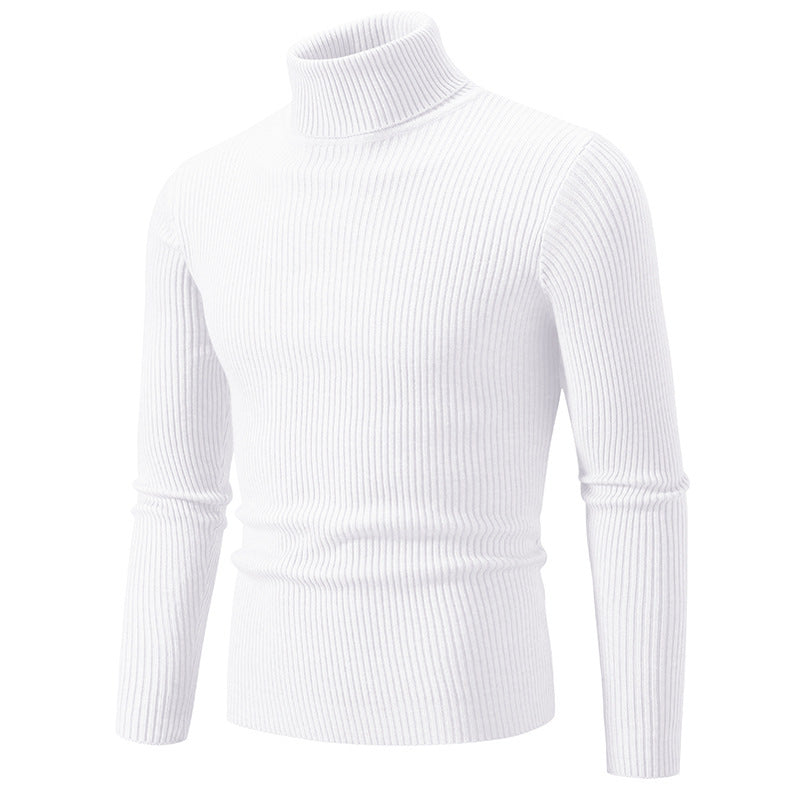 Herren feiner Rollkragenpullover aus langlebigem Strickmaterial R&B