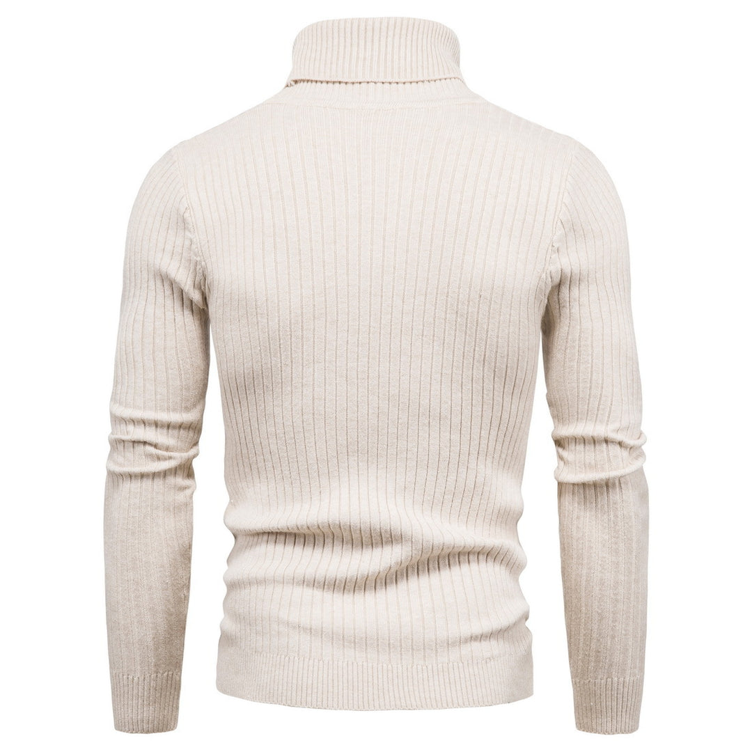 Herren komfortabler Rollkragenpullover R&B