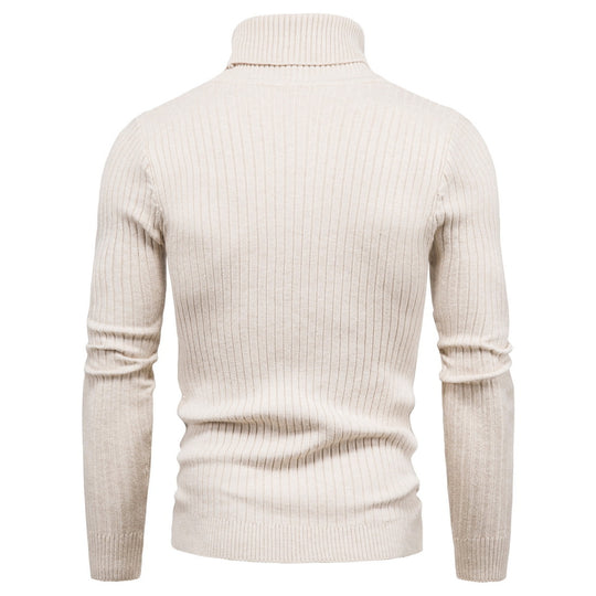 Herren komfortabler Rollkragenpullover R&B