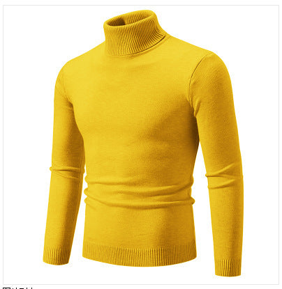 Herren Rollkragenpullover aus weichem Feinstrick R&B