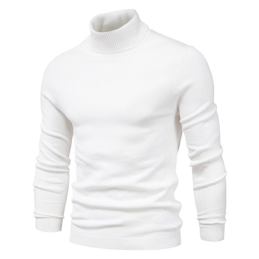 Herren modischer Rollkragenpullover aus feiner Merinowolle R&B