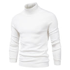 Herren modischer Rollkragenpullover aus feiner Merinowolle R&B