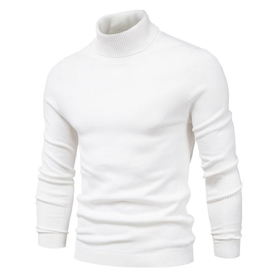 Herren modischer Rollkragenpullover aus feiner Merinowolle R&B