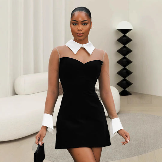 Damen Figurbetontes Spitzenkleid mit transparenten Ärmeln und klassischem Kragen R&B