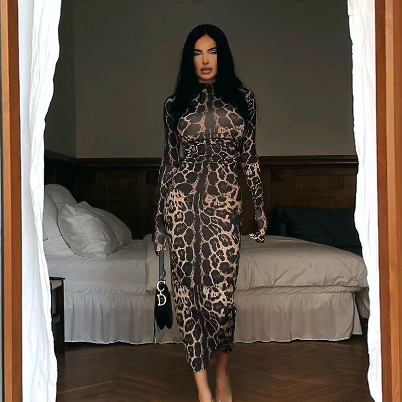 Damen Elegantes transparentes Maxikleid mit Leopardenmotiv und langem Arm R&B