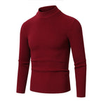 Herren Rollkragenpullover aus hochwertiger Rippenstruktur R&B