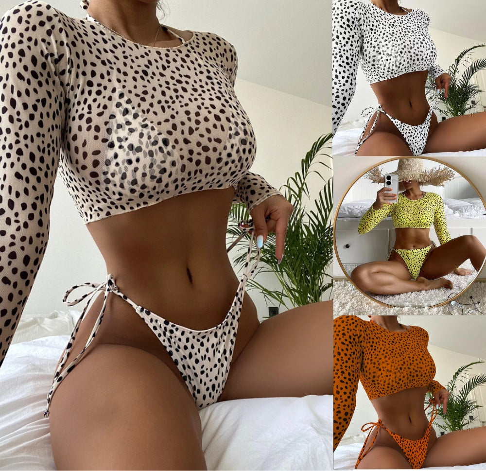 Damen modisches Strick-Bikinioberteil und Unterteil R&B