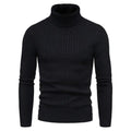 Herren Rollkragenpulli mit strukturiertem Zopfmuster R&B