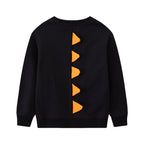 Jungen Sweatshirt mit coolem Dinosaurier-Design R&B