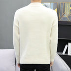 Herren warmer Rollkragenpullover aus weichem Strick