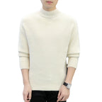 Herren warmer Rollkragenpullover aus weichem Strick