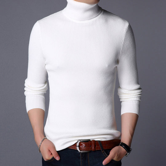 Herren Feinstrickpullover R&B