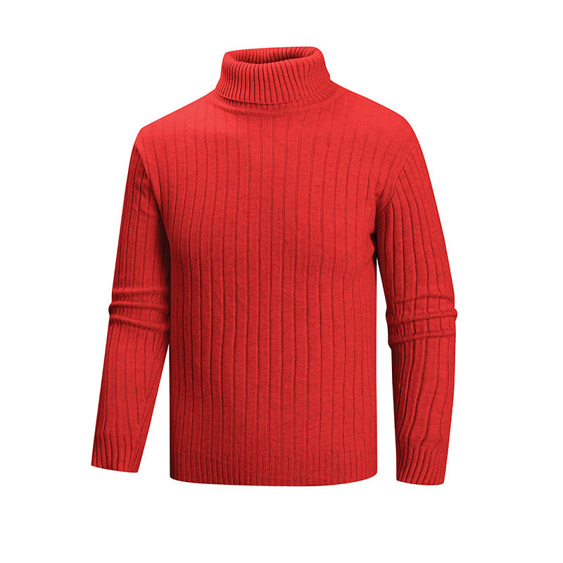 Herren Strickpullover mit Stehkragen R&B