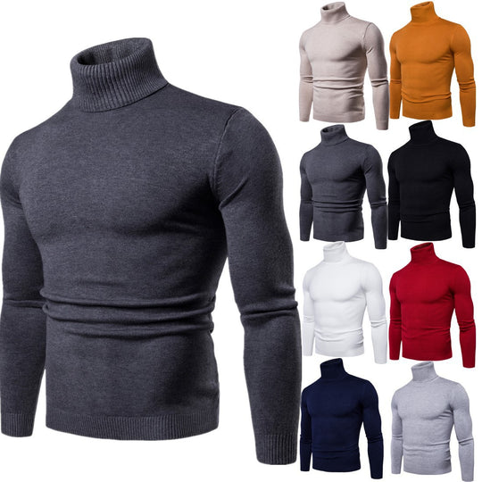 Herren Rollkragenpullover aus weichem Strick R&B
