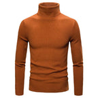 Herren modischer Rollkragenpullover mit feiner Rippstruktur R&B