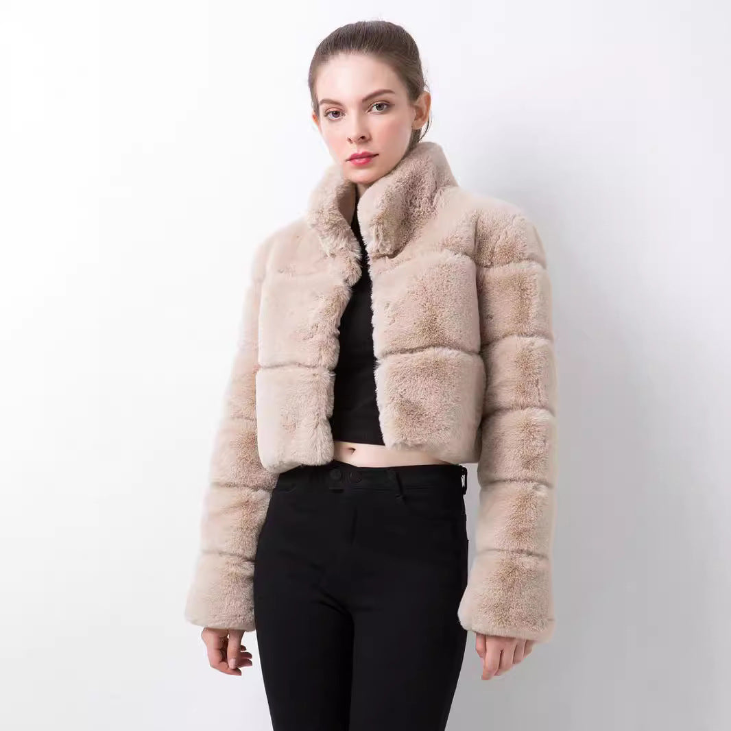Damen modische kurze Kunstpelzjacke R&B