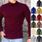 Herren Rollkragenpullover aus weichem Stretchmaterial
