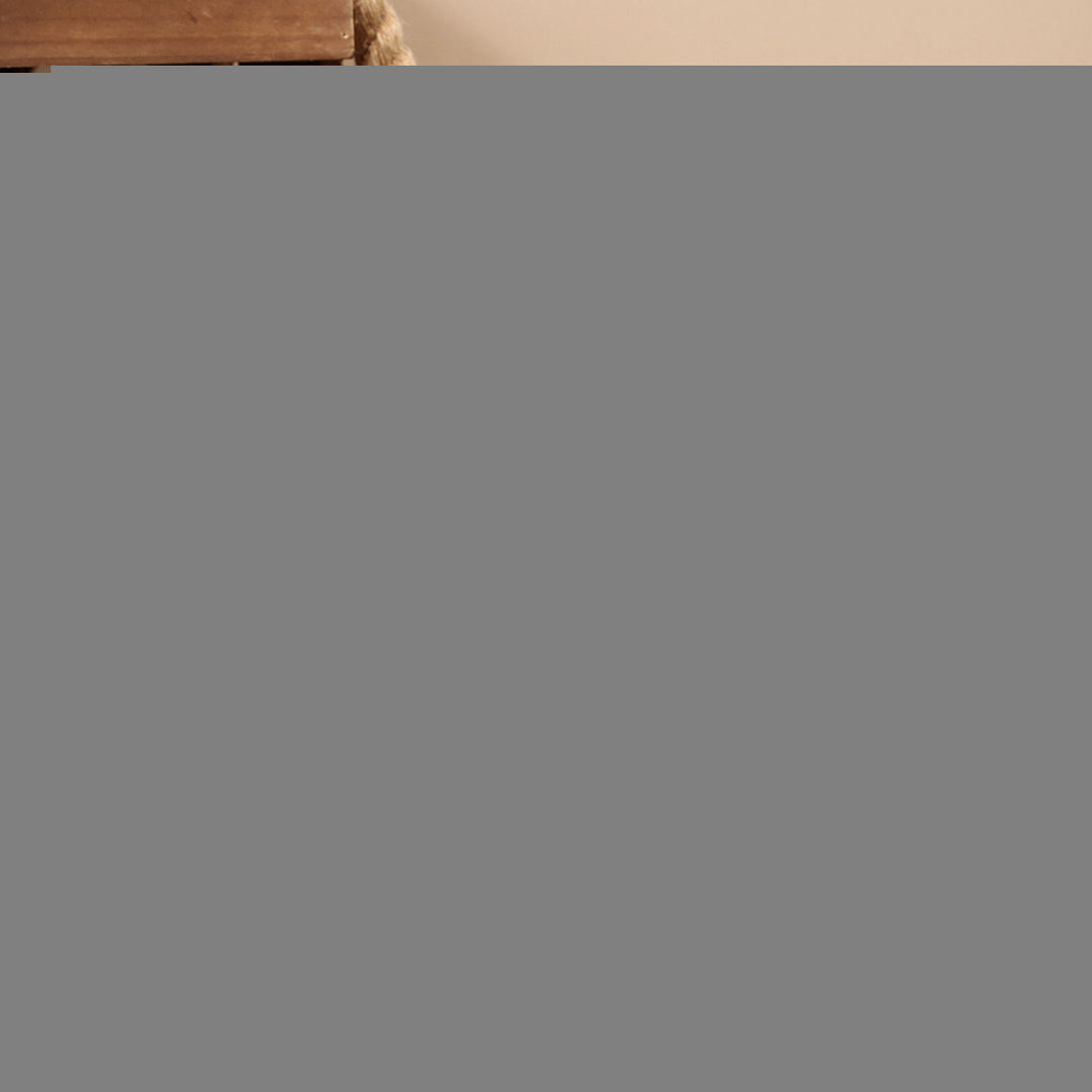 Damen elegante Stiefeletten mit seitlichem Reißverschluss und komfortabler Laufsohle R&B