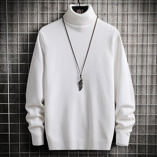 Herren bequemer Rollkragenpullover R&B