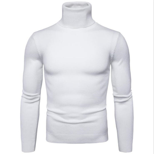 Herren Rollkragenpullover aus feiner Strickware R&B