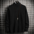 Herren Rollkragenpullover aus weicher Strickqualität R&B