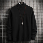 Herren Rollkragenpullover aus weicher Strickqualität R&B