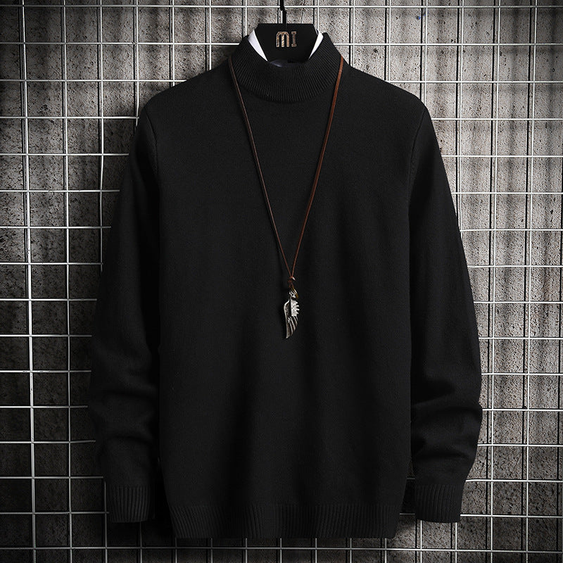 Herren Rollkragenpullover aus weicher Strickqualität R&B