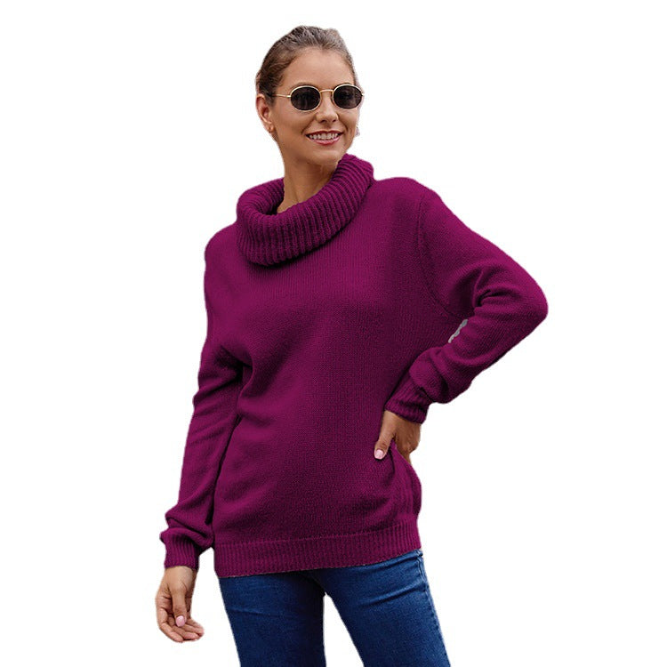 Damen Kuscheliger Rollkragenpullover aus weichem Strick R&B