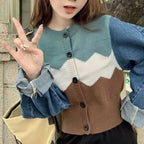 Damen Trendige Strickjacke mit modernen Farbakzenten R&B