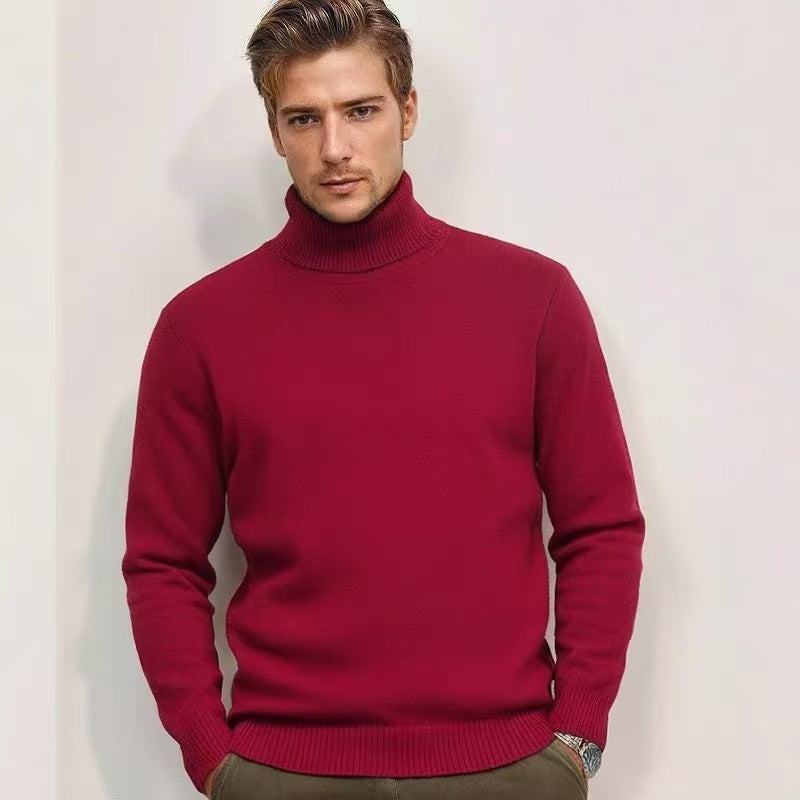 Herren Rollkragenpullover aus feinem Strick R&B