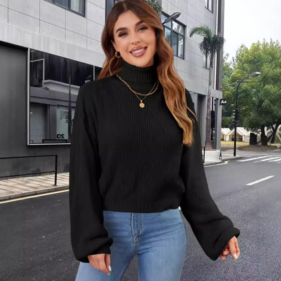 Damen Strickpullover mit hohem Kragen und lässigem Schnitt R&B
