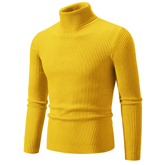 Herren Rollkragenpullover aus fein geripptem Material R&B