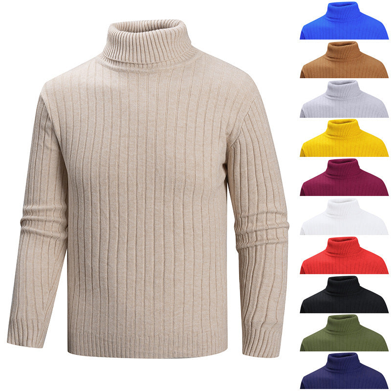 Herren Strickpullover mit Stehkragen R&B